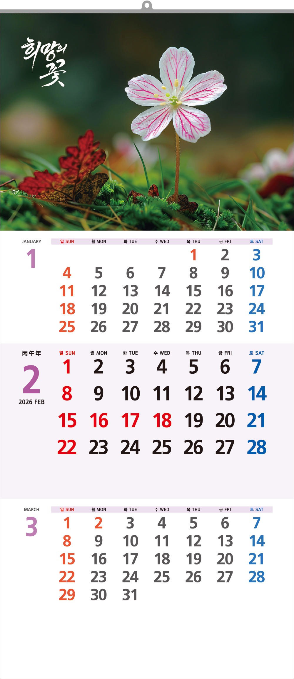 9349_copy_9753_235149625_QpPKjAT6_225e1f4ff88be44897c821d4580bb5ae3fc4edfe.jpg 이미지크게보기