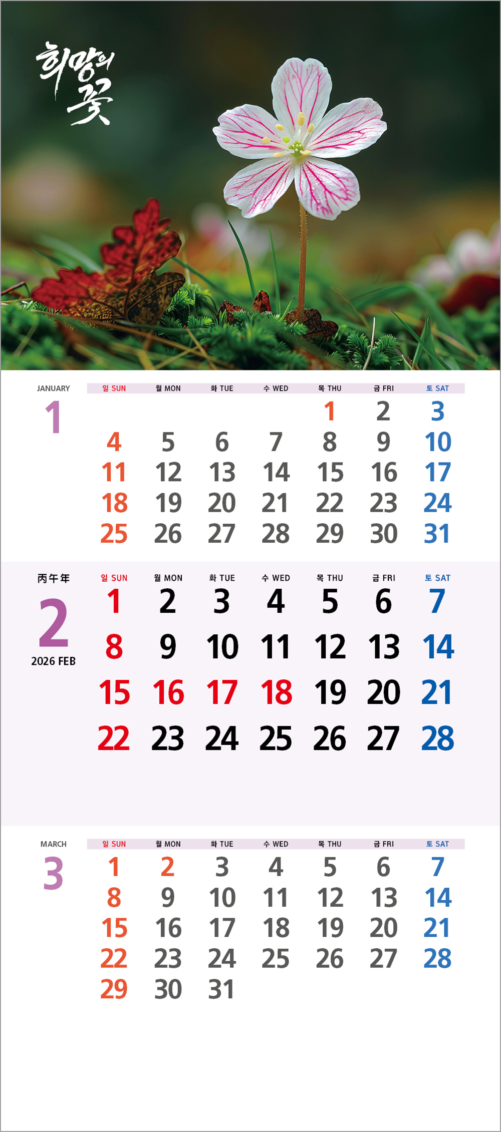/user/h/hcalendar/editor/2508/6a169e528aac4f7ac4fd1523f11a3720_1756179907_8715.jpg 이미지크게보기