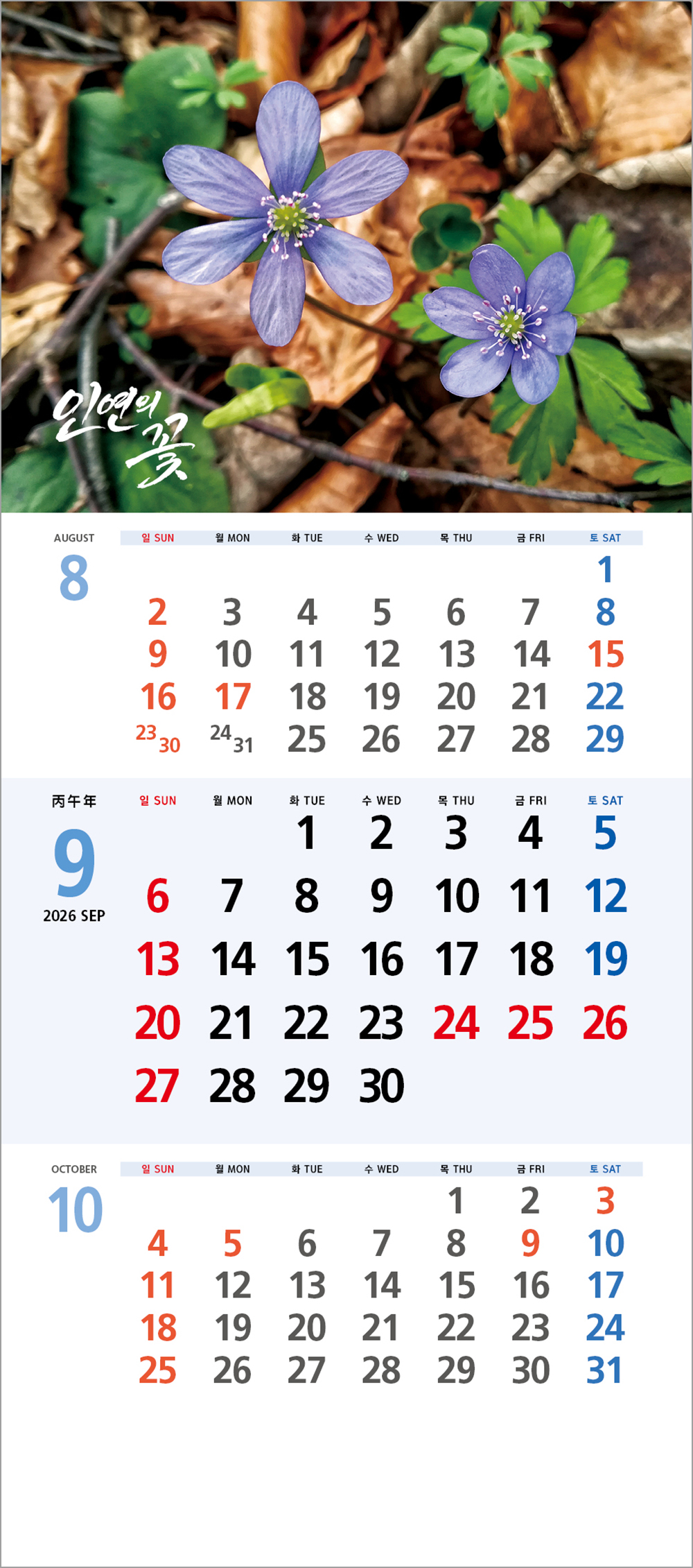/user/h/hcalendar/editor/2508/6a169e528aac4f7ac4fd1523f11a3720_1756179908_8282.jpg 이미지크게보기