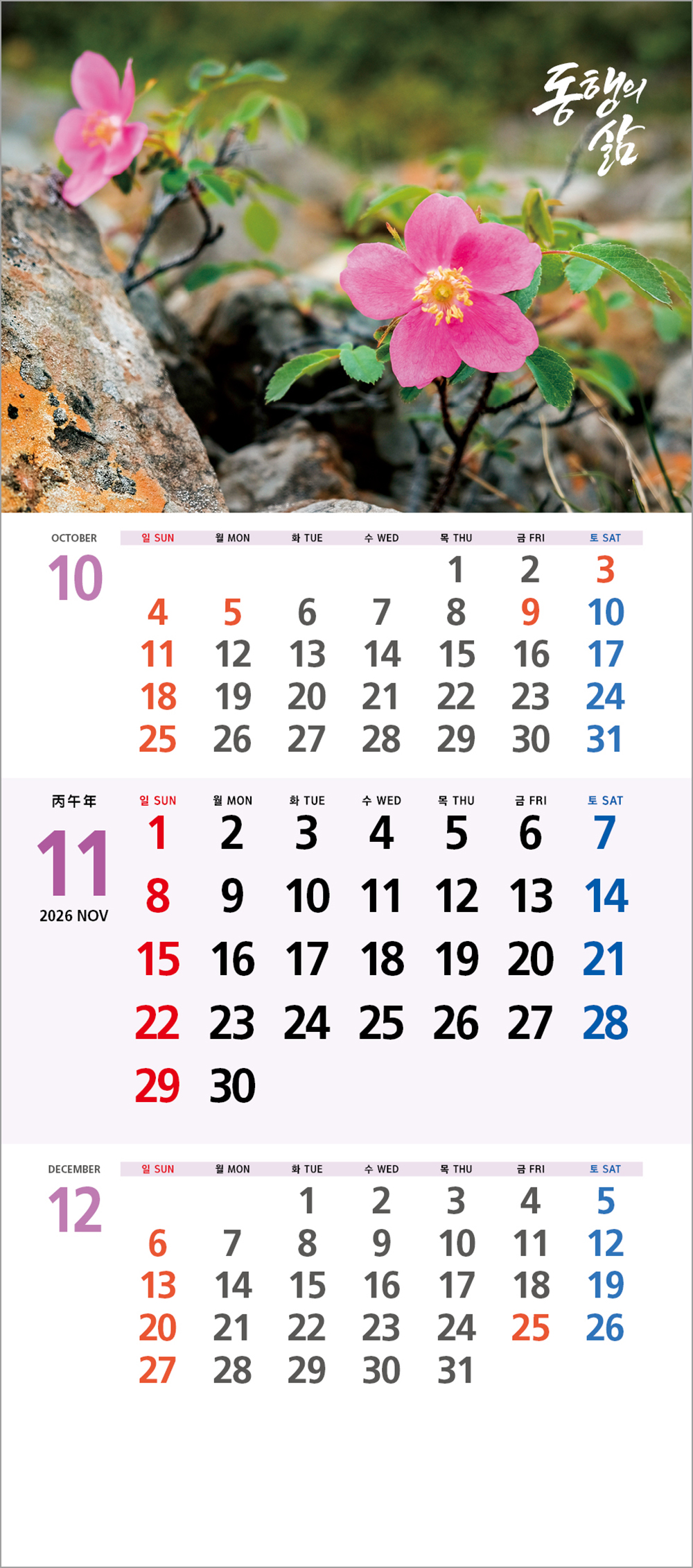 /user/h/hcalendar/editor/2508/6a169e528aac4f7ac4fd1523f11a3720_1756179915_3147.jpg 이미지크게보기
