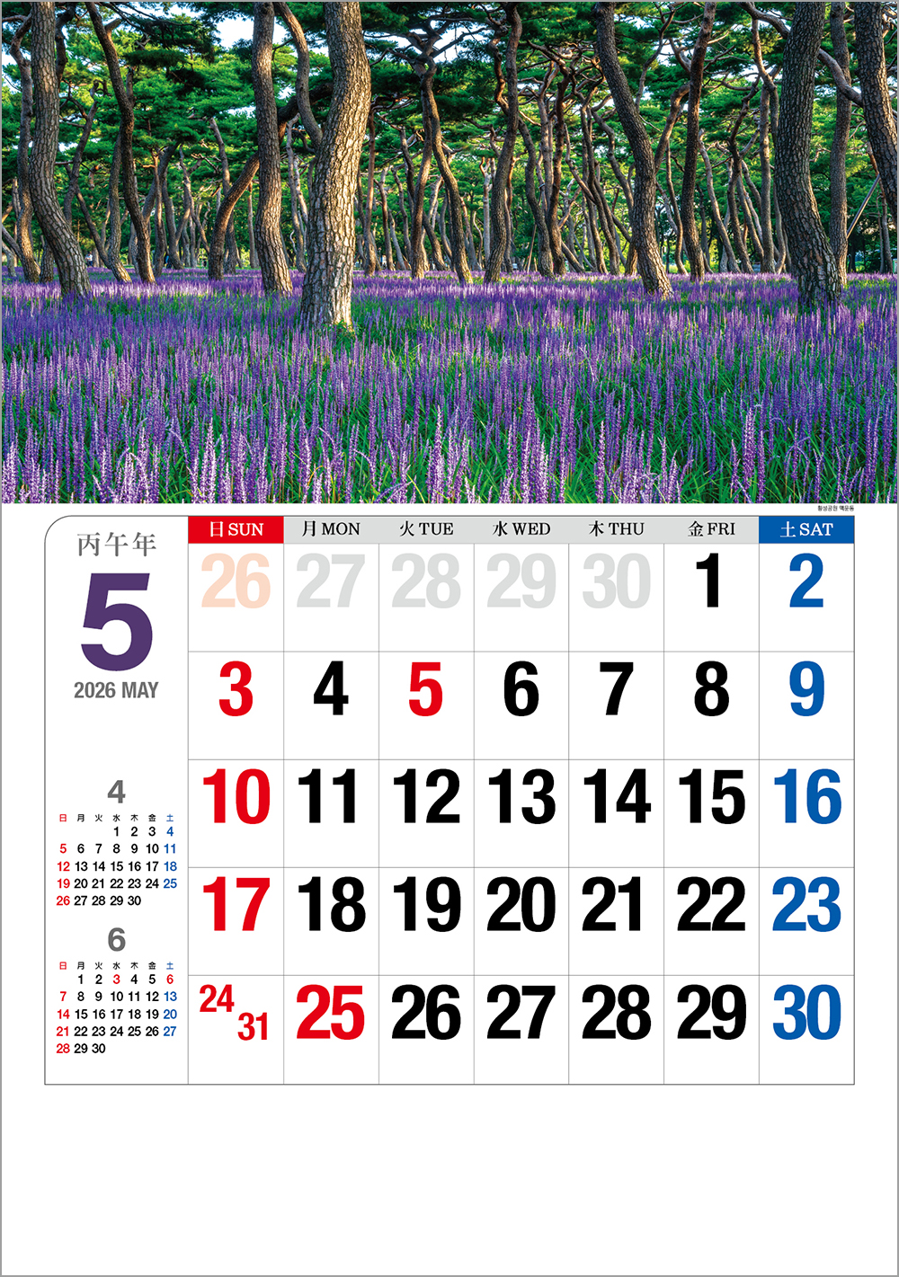 /user/h/hcalendar/editor/2508/6a169e528aac4f7ac4fd1523f11a3720_1756180607_5111.jpg 이미지크게보기