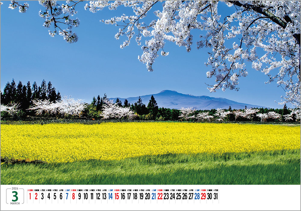 /user/h/hcalendar/editor/2508/6a169e528aac4f7ac4fd1523f11a3720_1756180853_5132.jpg 이미지크게보기