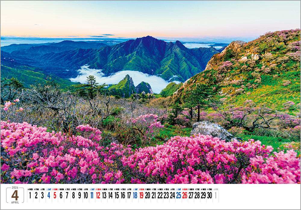 /user/h/hcalendar/editor/2508/6a169e528aac4f7ac4fd1523f11a3720_1756180853_6132.jpg 이미지크게보기