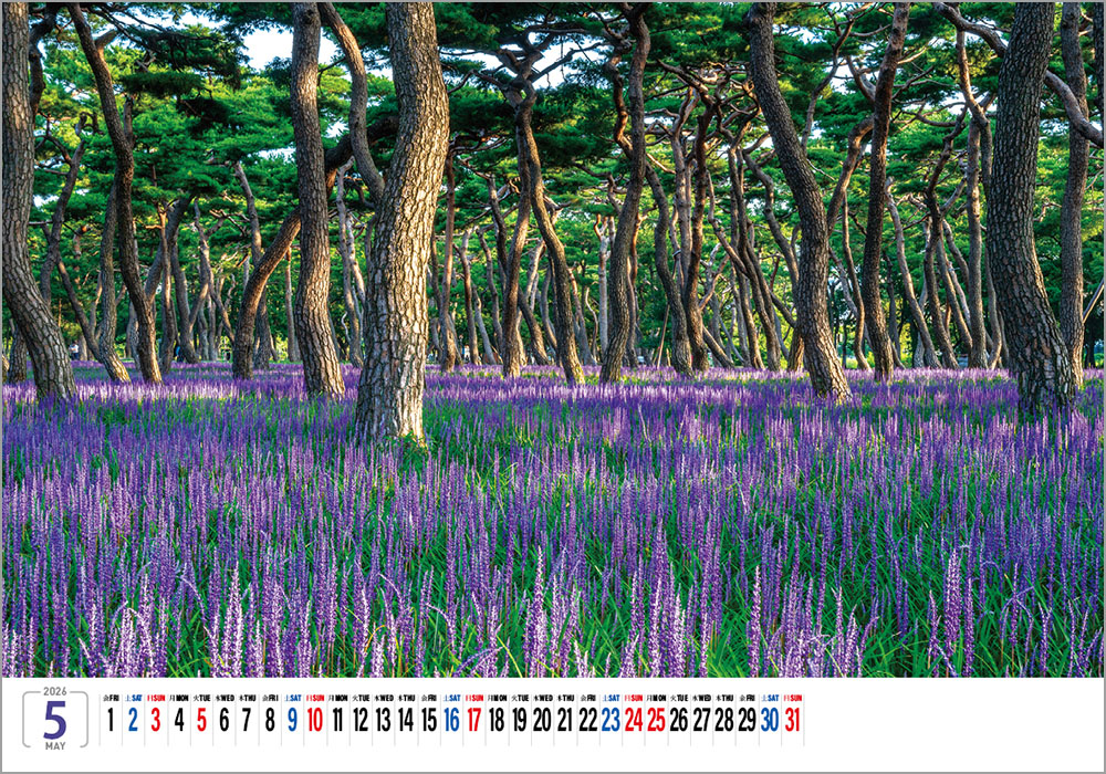 /user/h/hcalendar/editor/2508/6a169e528aac4f7ac4fd1523f11a3720_1756180853_7157.jpg 이미지크게보기
