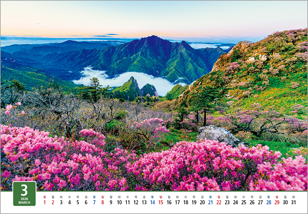 /user/h/hcalendar/editor/2508/6a169e528aac4f7ac4fd1523f11a3720_1756182410_3385.jpg 이미지크게보기