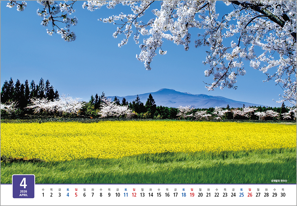 /user/h/hcalendar/editor/2508/6a169e528aac4f7ac4fd1523f11a3720_1756182410_4773.jpg 이미지크게보기