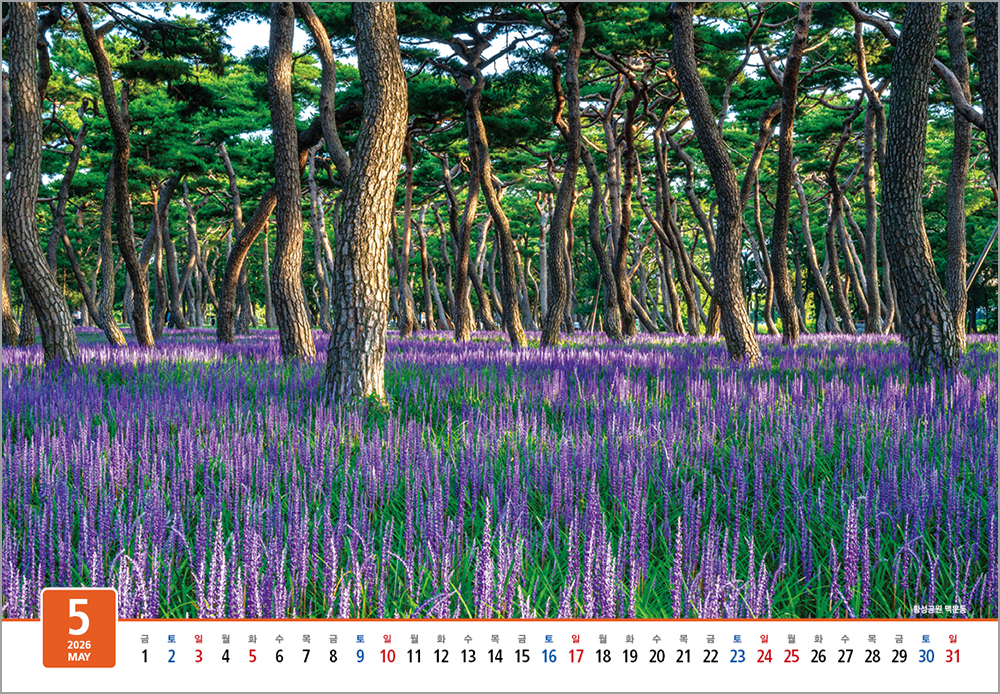 /user/h/hcalendar/editor/2508/6a169e528aac4f7ac4fd1523f11a3720_1756182410_6291.jpg 이미지크게보기