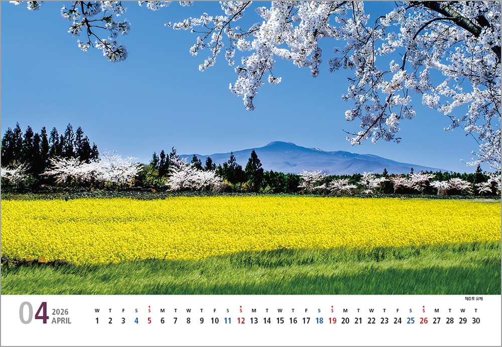 /user/h/hcalendar/editor/2508/6a169e528aac4f7ac4fd1523f11a3720_1756183851_0455.jpg 이미지크게보기