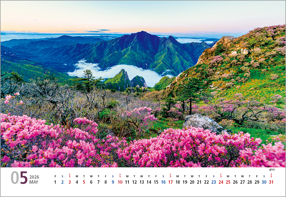 /user/h/hcalendar/editor/2508/6a169e528aac4f7ac4fd1523f11a3720_1756183851_1851.jpg 이미지크게보기