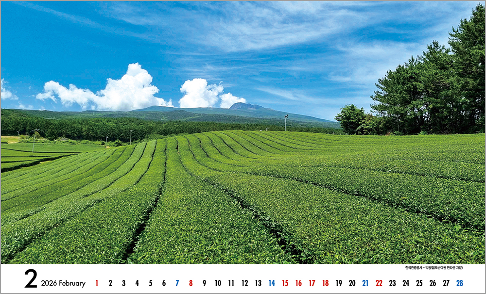 /user/h/hcalendar/editor/2508/6a169e528aac4f7ac4fd1523f11a3720_1756184485_8947.jpg 이미지크게보기