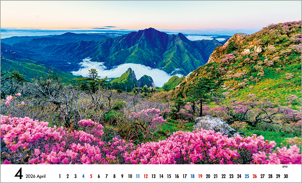 /user/h/hcalendar/editor/2508/6a169e528aac4f7ac4fd1523f11a3720_1756184486_1472.jpg 이미지크게보기