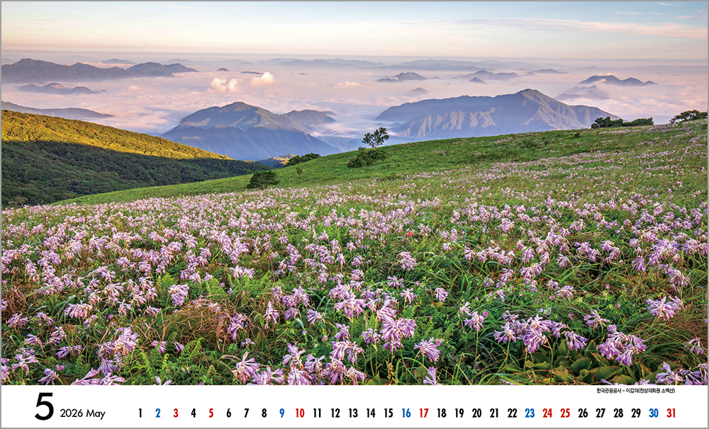 /user/h/hcalendar/editor/2508/6a169e528aac4f7ac4fd1523f11a3720_1756184486_2721.jpg 이미지크게보기