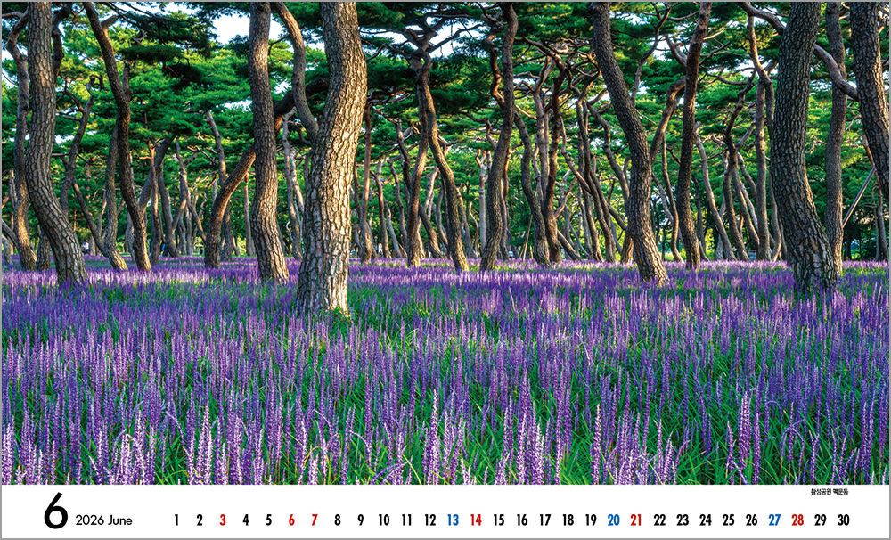 /user/h/hcalendar/editor/2508/6a169e528aac4f7ac4fd1523f11a3720_1756184486_4101.jpg 이미지크게보기