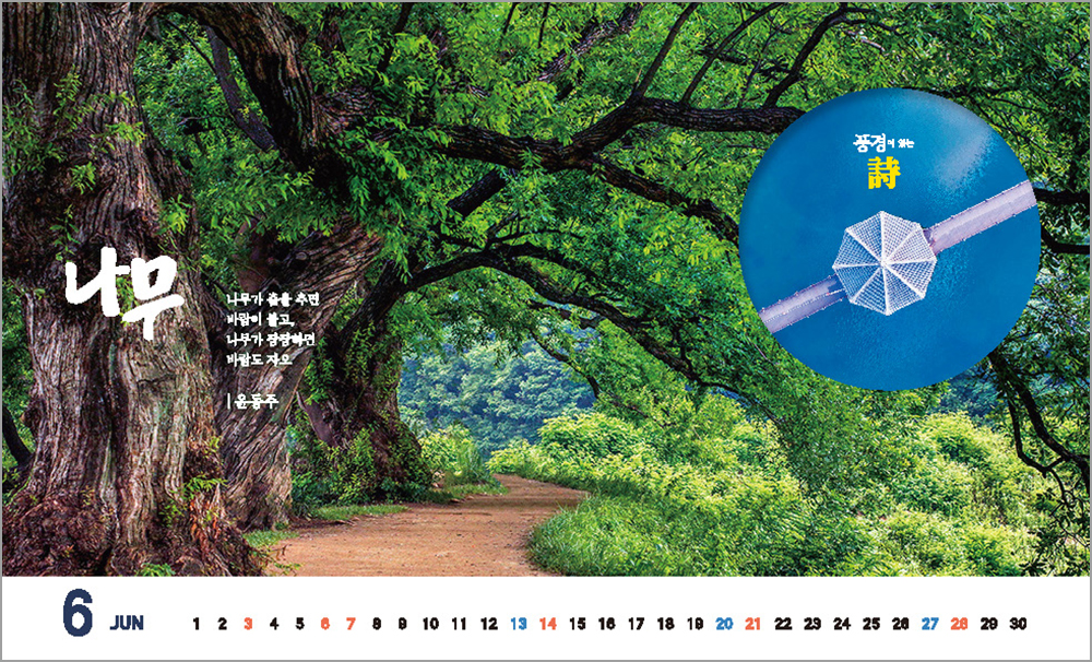 /user/h/hcalendar/editor/2508/6a169e528aac4f7ac4fd1523f11a3720_1756188225_0493.jpg 이미지크게보기
