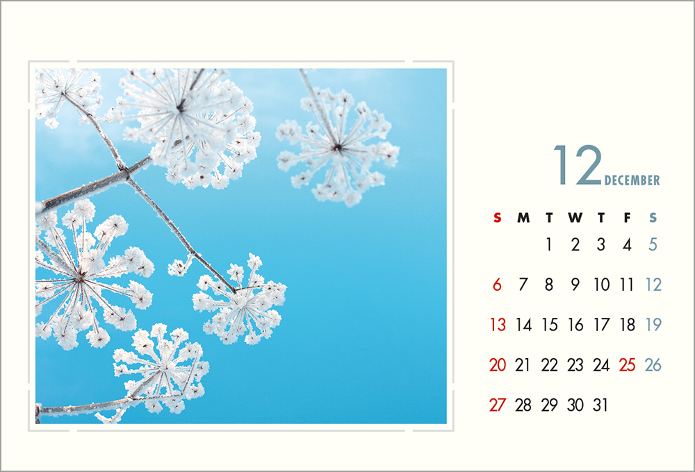 /user/h/hcalendar/editor/2508/6a169e528aac4f7ac4fd1523f11a3720_1756188294_8285.jpg 이미지크게보기