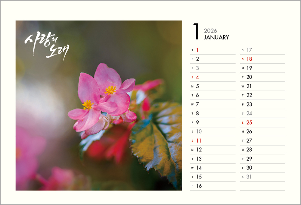/user/h/hcalendar/editor/2508/6a169e528aac4f7ac4fd1523f11a3720_1756188392_2149.jpg 이미지크게보기