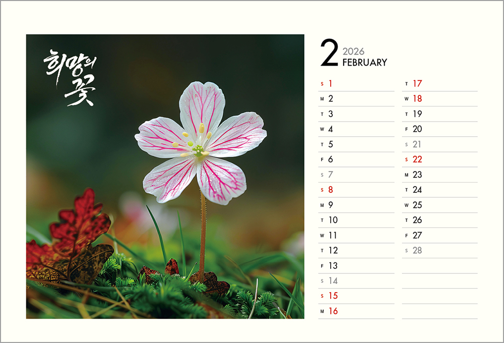 /user/h/hcalendar/editor/2508/6a169e528aac4f7ac4fd1523f11a3720_1756188392_3135.jpg 이미지크게보기