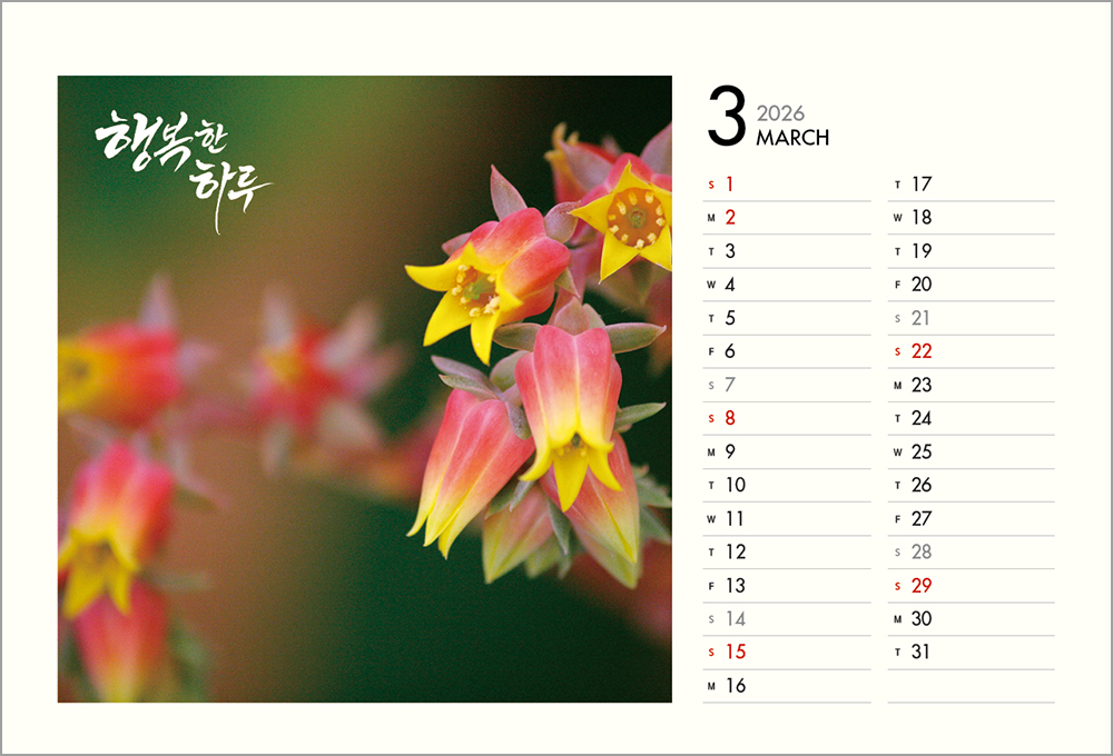 /user/h/hcalendar/editor/2508/6a169e528aac4f7ac4fd1523f11a3720_1756188392_4048.jpg 이미지크게보기
