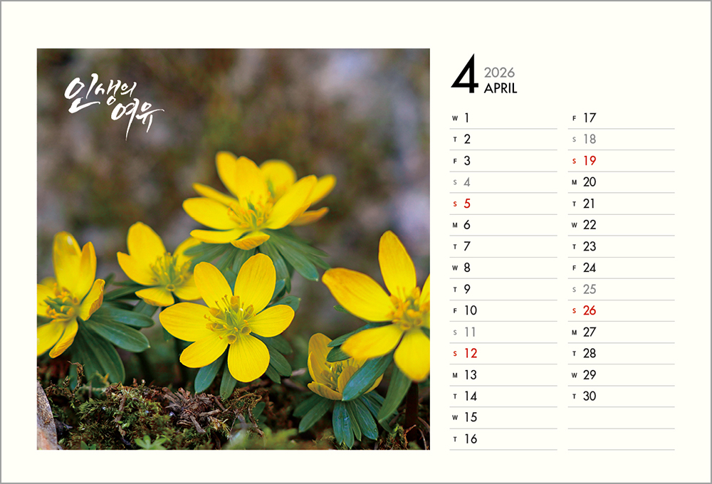 /user/h/hcalendar/editor/2508/6a169e528aac4f7ac4fd1523f11a3720_1756188392_525.jpg 이미지크게보기