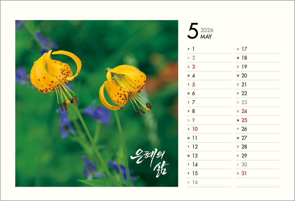 /user/h/hcalendar/editor/2508/6a169e528aac4f7ac4fd1523f11a3720_1756188392_624.jpg 이미지크게보기
