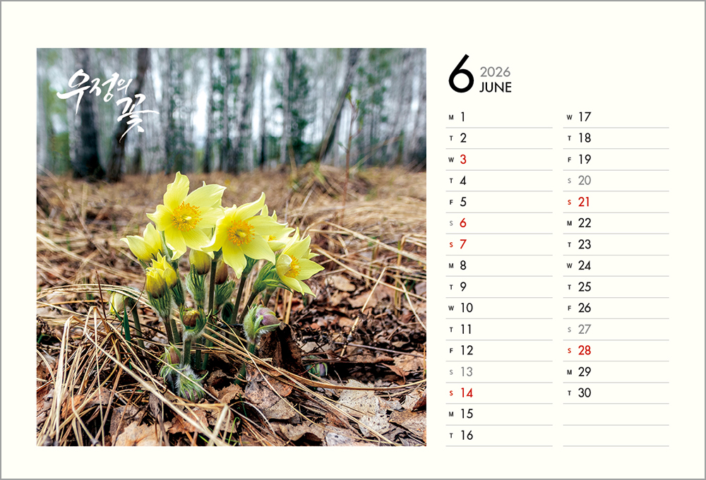 /user/h/hcalendar/editor/2508/6a169e528aac4f7ac4fd1523f11a3720_1756188392_7353.jpg 이미지크게보기