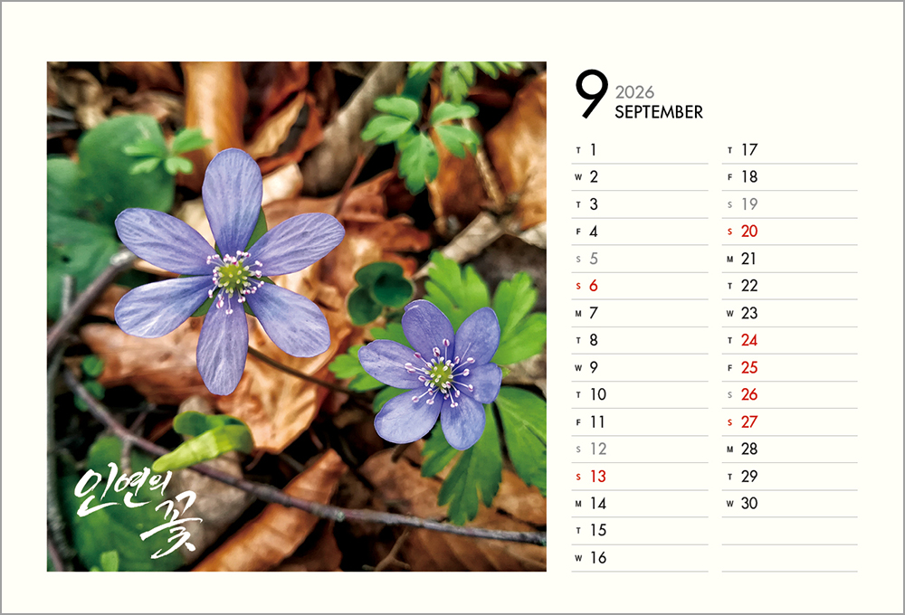/user/h/hcalendar/editor/2508/6a169e528aac4f7ac4fd1523f11a3720_1756188393_0764.jpg 이미지크게보기