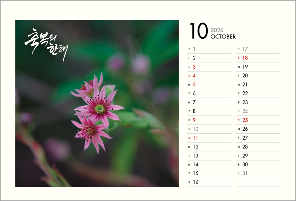 /user/h/hcalendar/editor/2508/6a169e528aac4f7ac4fd1523f11a3720_1756188393_174.jpg 이미지크게보기