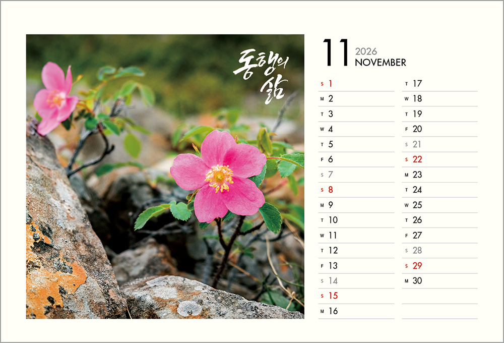 /user/h/hcalendar/editor/2508/6a169e528aac4f7ac4fd1523f11a3720_1756188397_4396.jpg 이미지크게보기