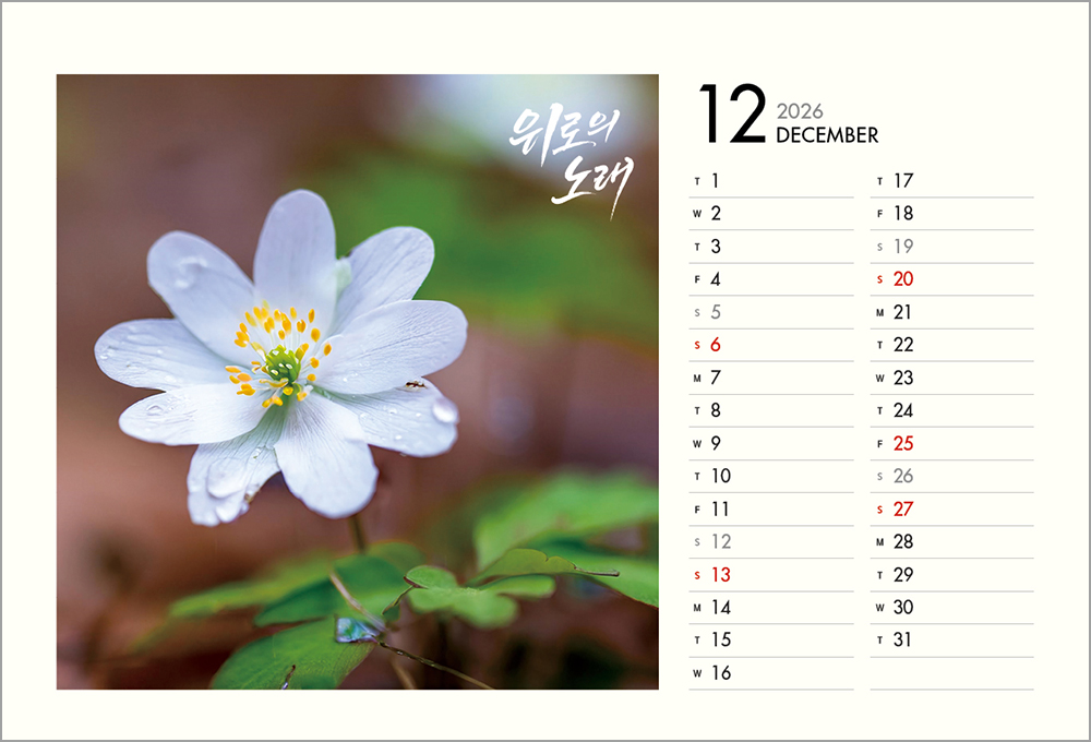 /user/h/hcalendar/editor/2508/6a169e528aac4f7ac4fd1523f11a3720_1756188397_543.jpg 이미지크게보기