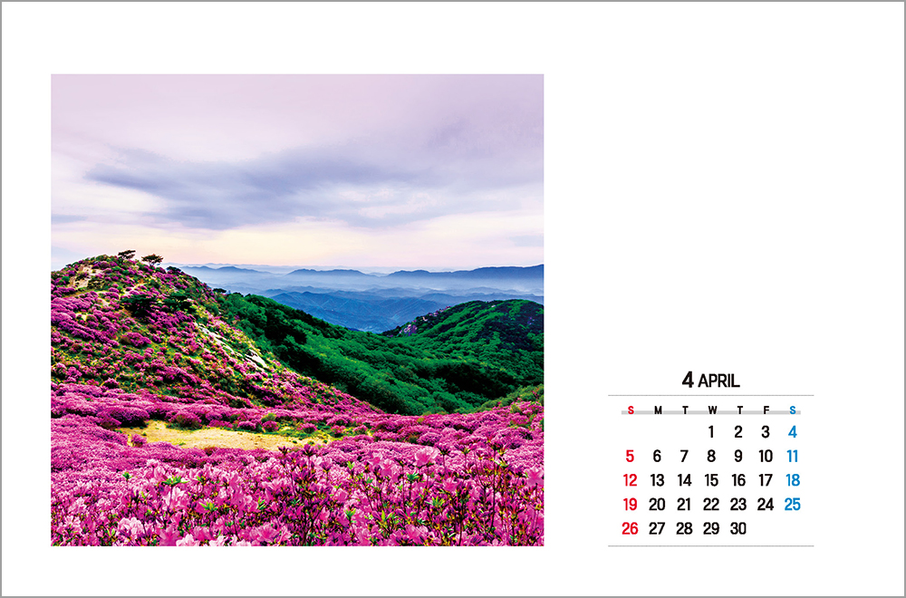 /user/h/hcalendar/editor/2508/6a169e528aac4f7ac4fd1523f11a3720_1756188756_1649.jpg 이미지크게보기
