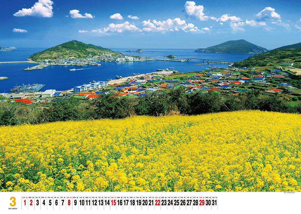 /user/h/hcalendar/editor/2509/155cb31547382a289f709c81eece0b0e_1756885496_3789.jpg 이미지크게보기