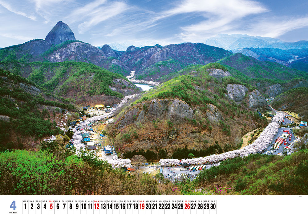 /user/h/hcalendar/editor/2509/155cb31547382a289f709c81eece0b0e_1756885496_4778.jpg 이미지크게보기