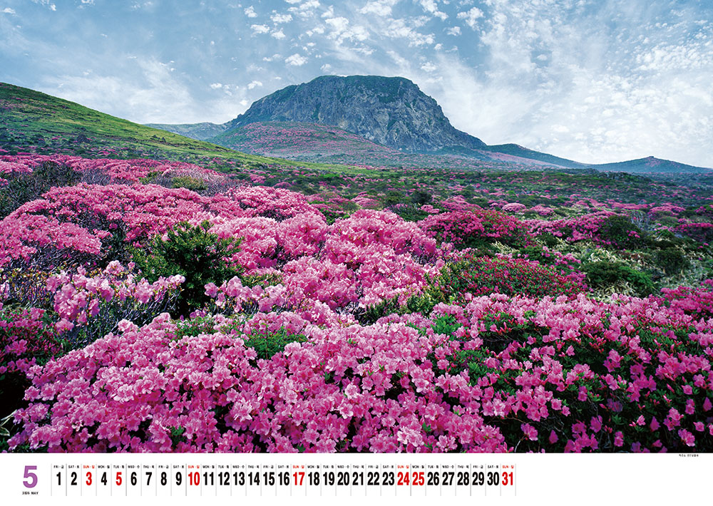 /user/h/hcalendar/editor/2509/155cb31547382a289f709c81eece0b0e_1756885496_5852.jpg 이미지크게보기
