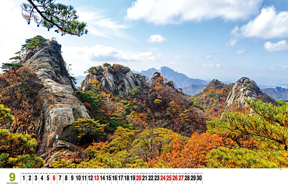 /user/h/hcalendar/editor/2509/155cb31547382a289f709c81eece0b0e_1756885515_0147.jpg 이미지크게보기