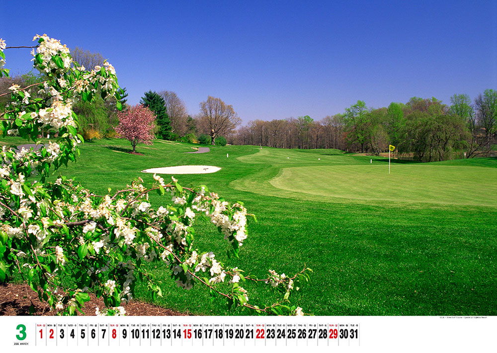 /user/h/hcalendar/editor/2509/155cb31547382a289f709c81eece0b0e_1756885588_3841.jpg 이미지크게보기