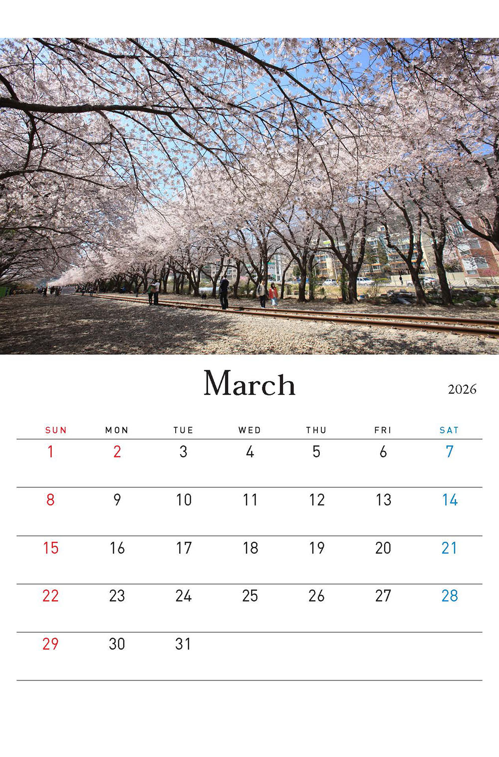 /user/h/hcalendar/editor/2509/155cb31547382a289f709c81eece0b0e_1756885676_6996.jpg 이미지크게보기