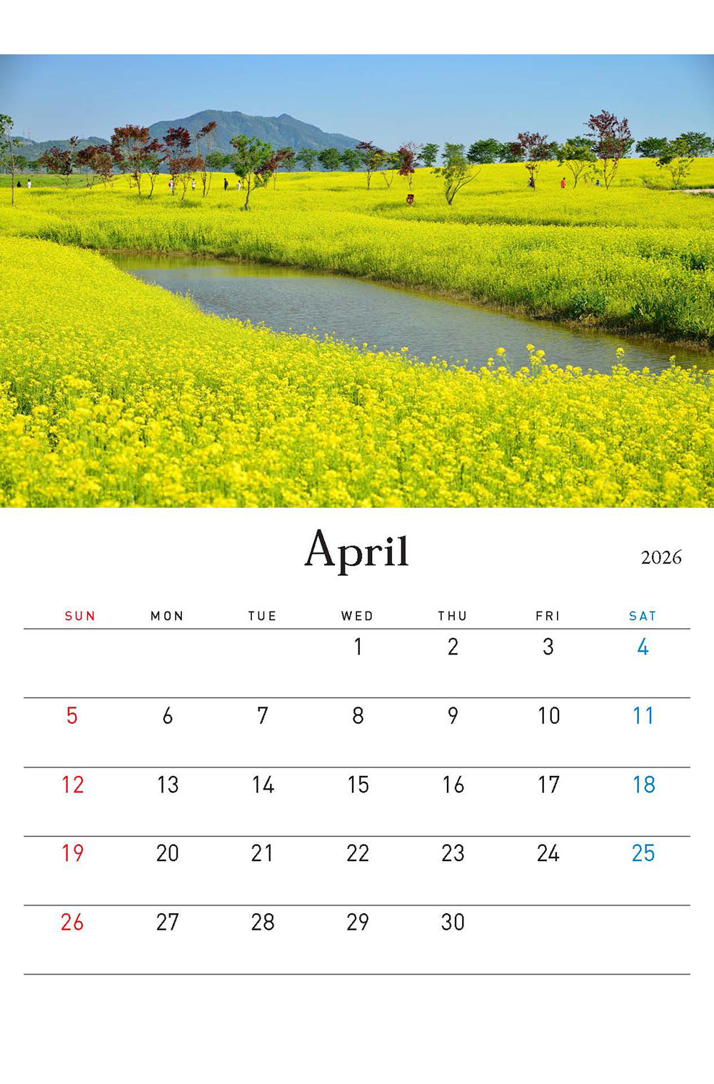 /user/h/hcalendar/editor/2509/155cb31547382a289f709c81eece0b0e_1756885676_794.jpg 이미지크게보기