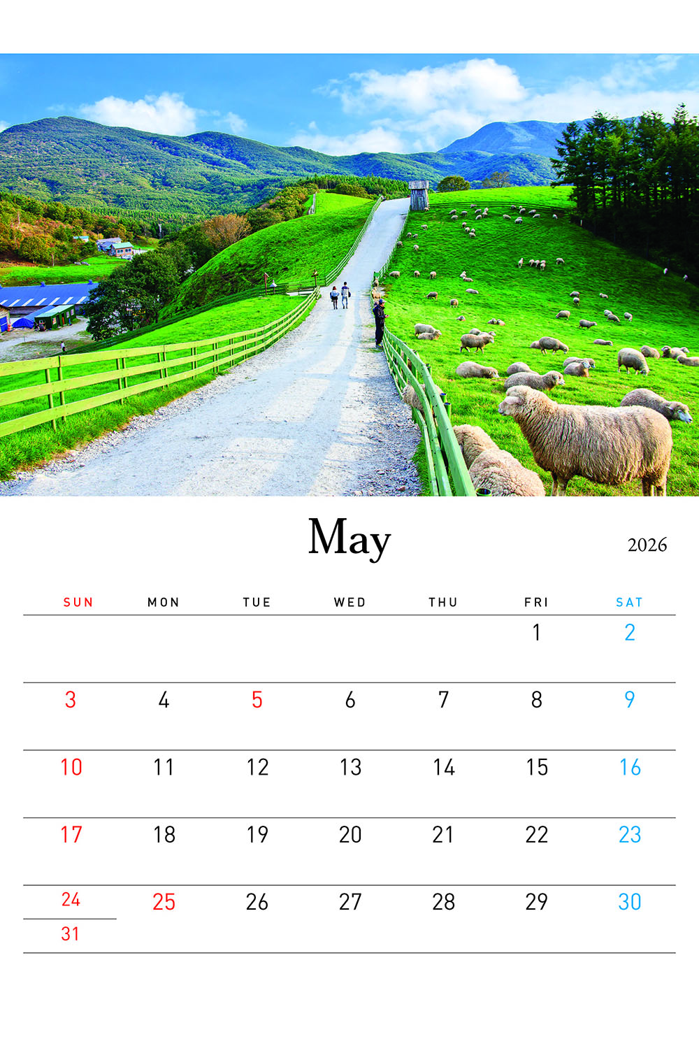 /user/h/hcalendar/editor/2509/155cb31547382a289f709c81eece0b0e_1756885676_913.jpg 이미지크게보기