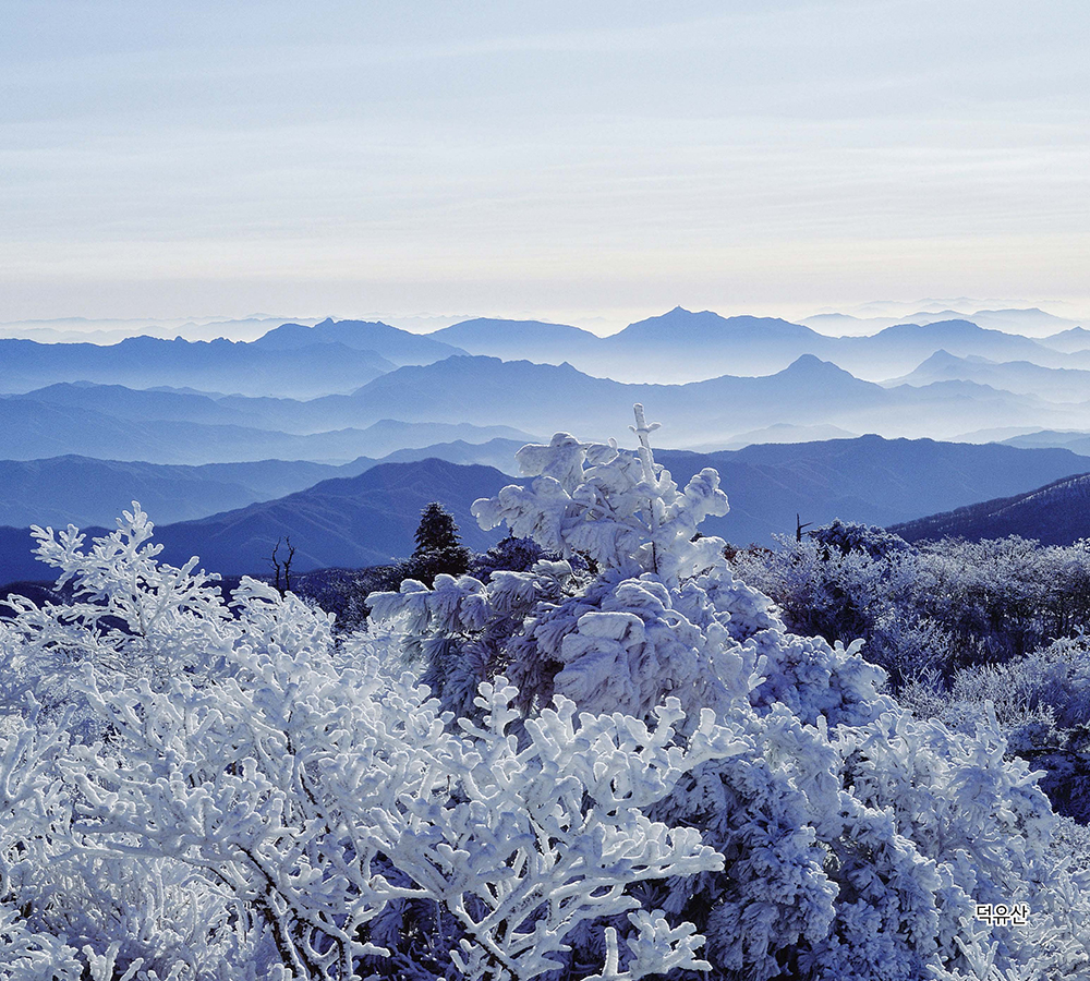 /user/h/hcalendar/editor/2509/155cb31547382a289f709c81eece0b0e_1756886003_0552.jpg 이미지크게보기