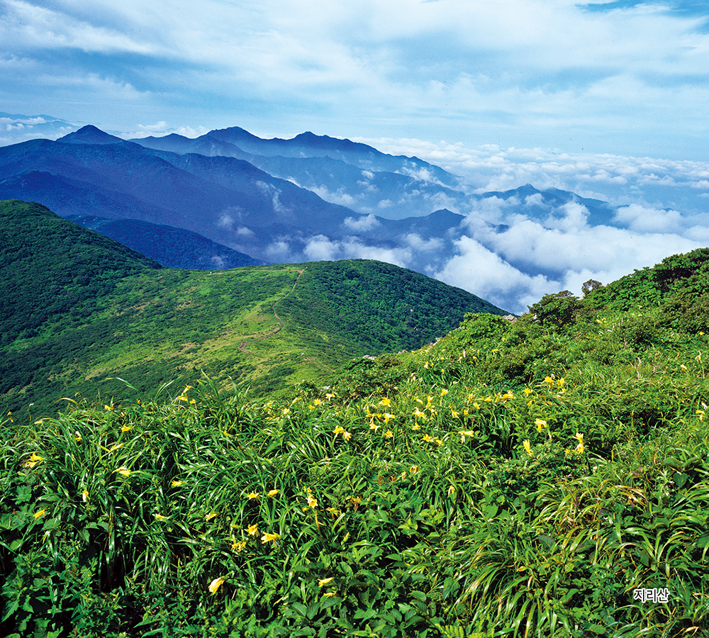 /user/h/hcalendar/editor/2509/155cb31547382a289f709c81eece0b0e_1756886009_452.jpg 이미지크게보기