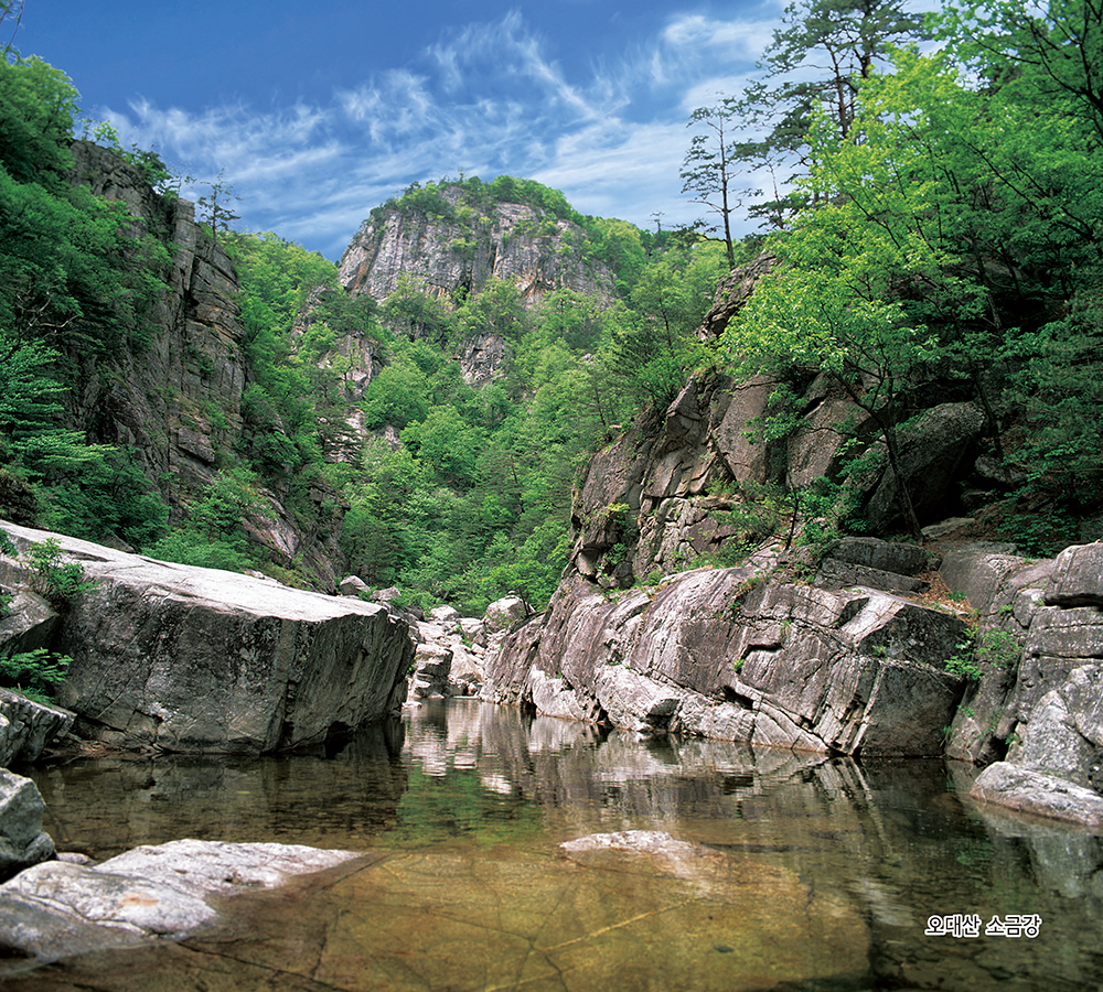 /user/h/hcalendar/editor/2509/155cb31547382a289f709c81eece0b0e_1756886009_6833.jpg 이미지크게보기