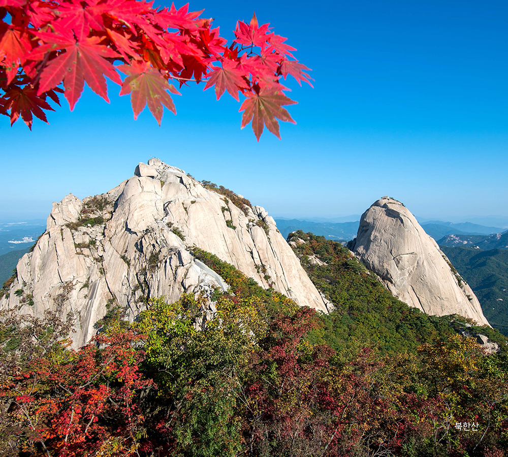 /user/h/hcalendar/editor/2509/155cb31547382a289f709c81eece0b0e_1756886016_015.jpg 이미지크게보기