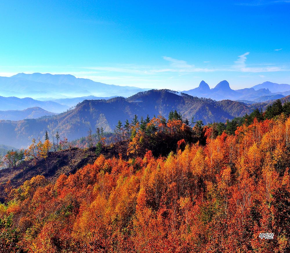 /user/h/hcalendar/editor/2509/155cb31547382a289f709c81eece0b0e_1756886021_1477.jpg 이미지크게보기