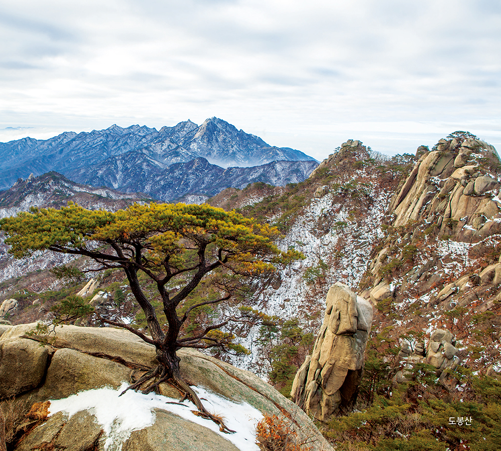 /user/h/hcalendar/editor/2509/155cb31547382a289f709c81eece0b0e_1756886021_3805.jpg 이미지크게보기