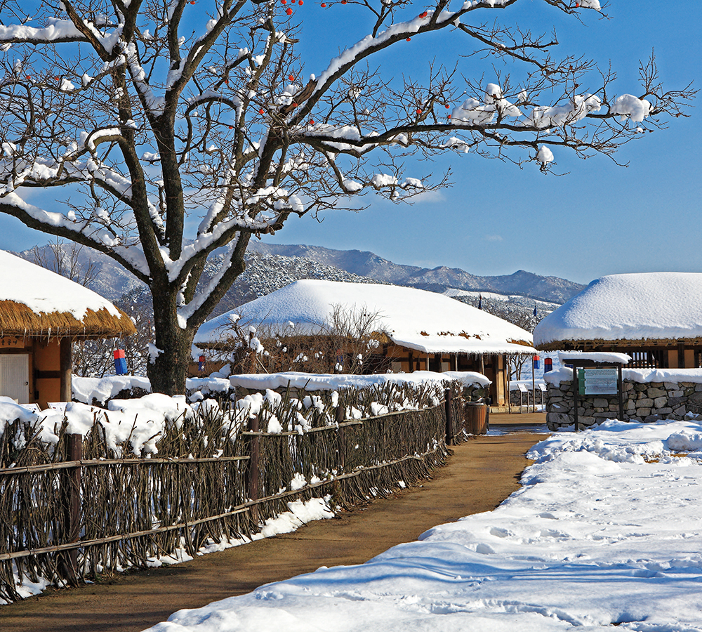 /user/h/hcalendar/editor/2509/155cb31547382a289f709c81eece0b0e_1756886048_1954.jpg 이미지크게보기