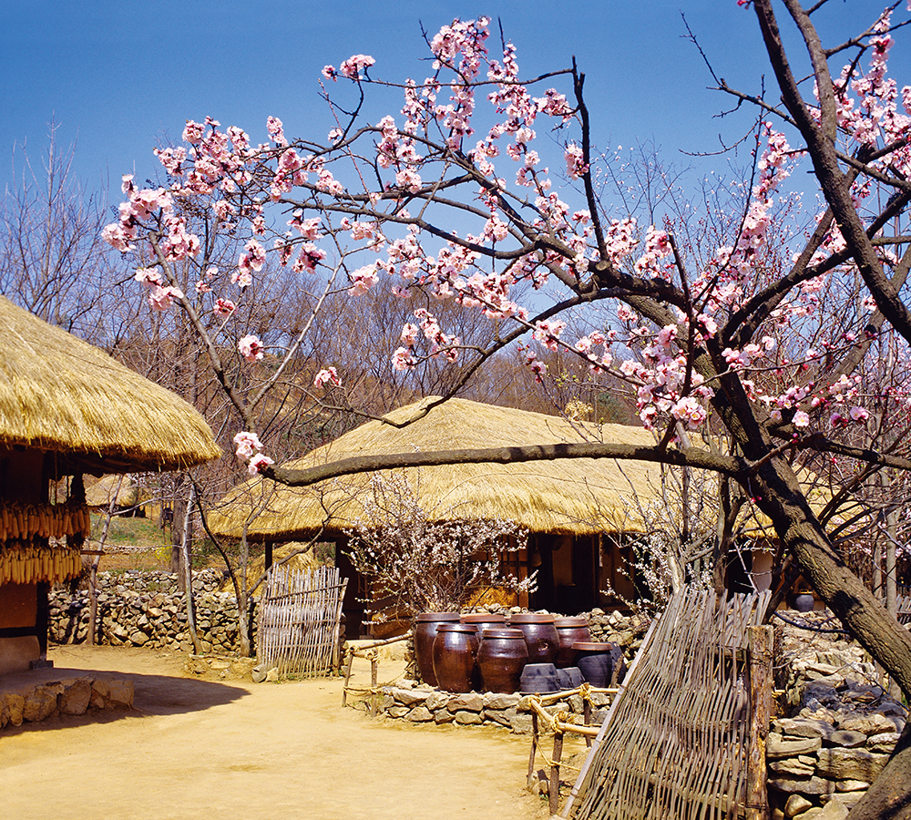 /user/h/hcalendar/editor/2509/155cb31547382a289f709c81eece0b0e_1756886048_6958.jpg 이미지크게보기