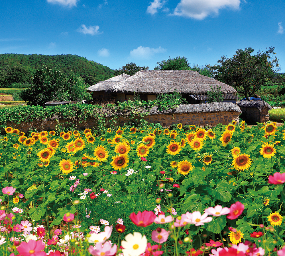 /user/h/hcalendar/editor/2509/155cb31547382a289f709c81eece0b0e_1756886061_5477.jpg 이미지크게보기