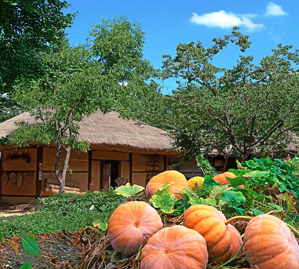 /user/h/hcalendar/editor/2509/155cb31547382a289f709c81eece0b0e_1756886061_7968.jpg 이미지크게보기