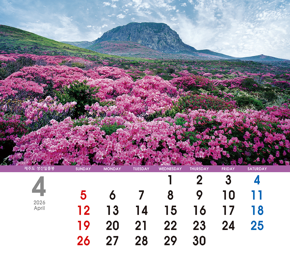 /user/h/hcalendar/editor/2509/155cb31547382a289f709c81eece0b0e_1756886106_7033.jpg 이미지크게보기