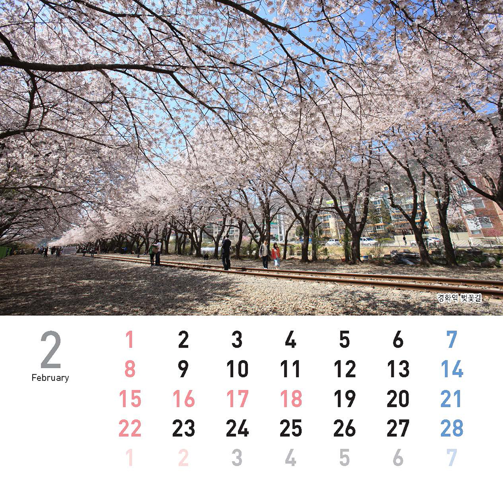 /user/h/hcalendar/editor/2509/155cb31547382a289f709c81eece0b0e_1756886144_9285.jpg 이미지크게보기